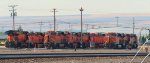 BNSF 3976-BNSF 6646-BNSF 4269-BNSF 4634-BNSF 5896-BNSF 6541